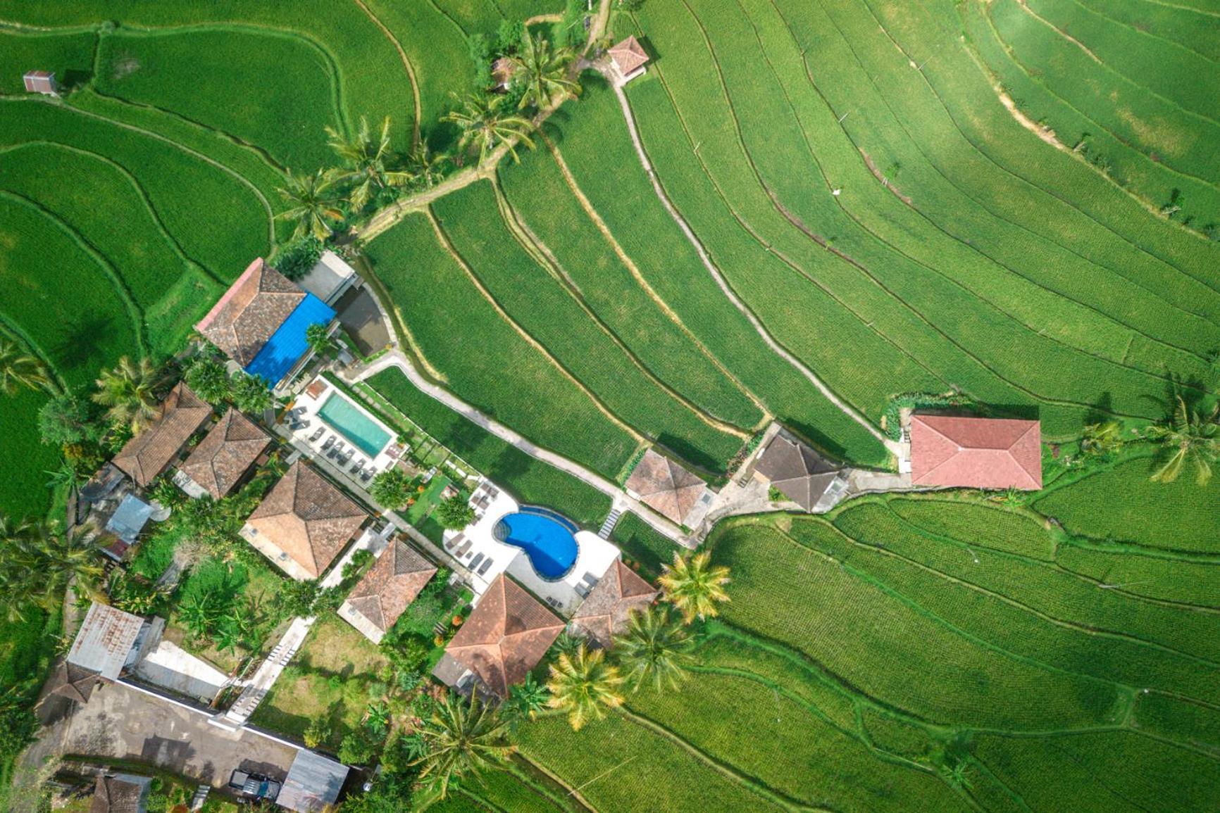 Villa Sande Munduk Εξωτερικό φωτογραφία